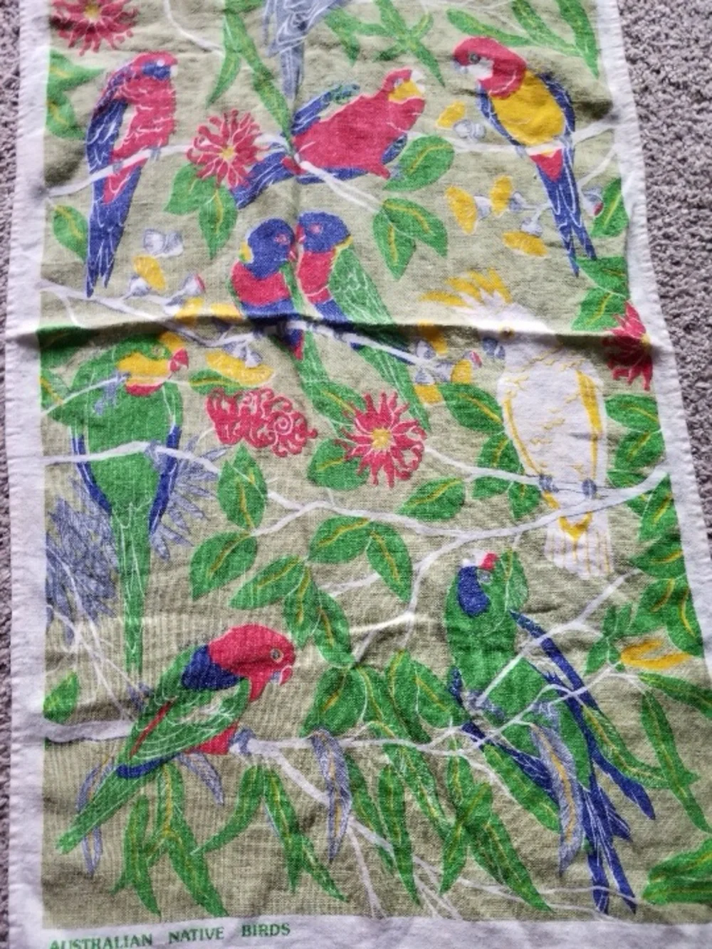 Australian Native Birds Cotton Tea Towel - Green Multi